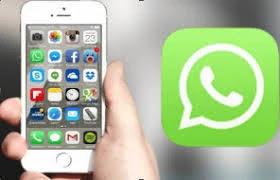 Baixar WhatsApp GB Rosa Malavida